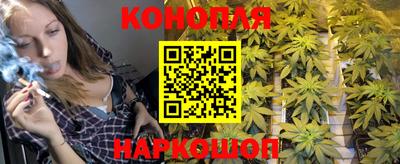 Альфа ПВП Краснознаменск
