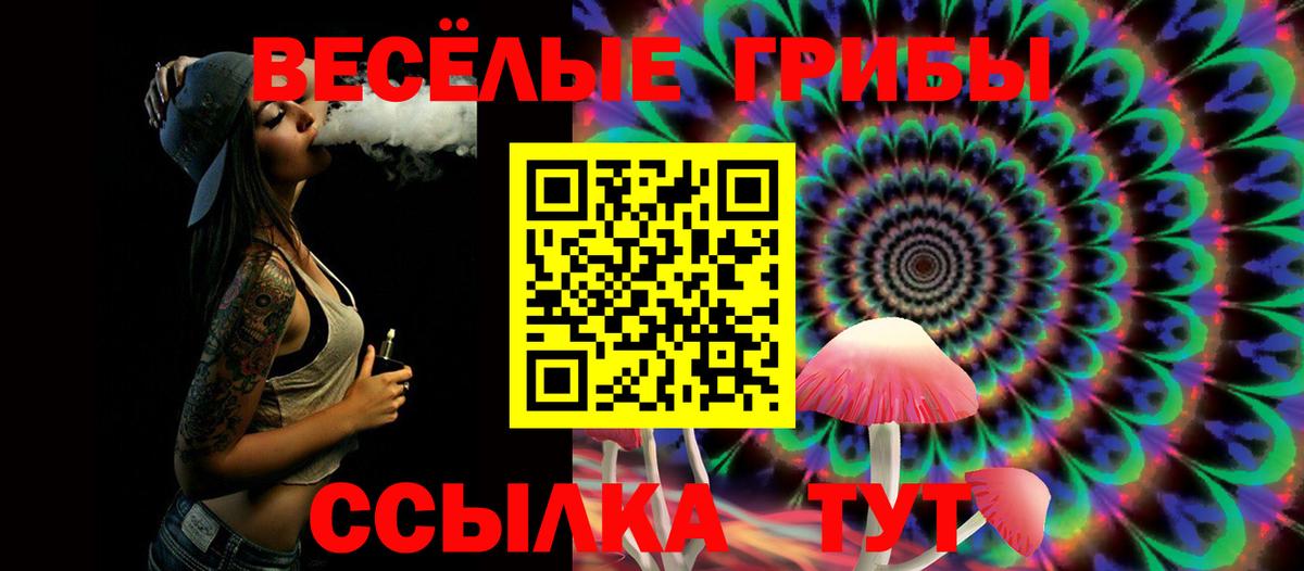 Псилоцибиновые грибы MAGIC MUSHROOMS Шатура